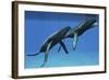 Two Humpback Whales Come to the Surface of Ocean Waters to Breath-null-Framed Art Print