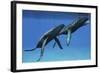 Two Humpback Whales Come to the Surface of Ocean Waters to Breath-null-Framed Art Print