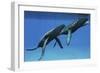 Two Humpback Whales Come to the Surface of Ocean Waters to Breath-null-Framed Premium Giclee Print