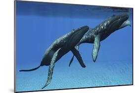 Two Humpback Whales Come to the Surface of Ocean Waters to Breath-null-Mounted Premium Giclee Print