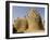 Two Hundred Year Old Mosque of Ba Sounou Sacko, Sekoro, Mali-De Mann Jean-Pierre-Framed Photographic Print