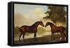 Two Hunters by a Lake-George Stubbs-Framed Stretched Canvas