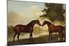 Two Hunters by a Lake-George Stubbs-Mounted Giclee Print
