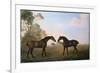 Two Hunters Out at Grass-George Stubbs-Framed Giclee Print