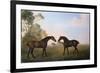 Two Hunters Out at Grass-George Stubbs-Framed Giclee Print