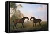 Two Hunters Out at Grass-George Stubbs-Framed Stretched Canvas