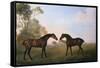 Two Hunters Out at Grass-George Stubbs-Framed Stretched Canvas