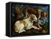 Two Hunting Dogs Tied to a Tree Stump, c.1548-50-Jacopo Bassano-Framed Stretched Canvas