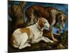 Two Hunting Dogs Tied to a Tree Stump, c.1548-50-Jacopo Bassano-Mounted Giclee Print