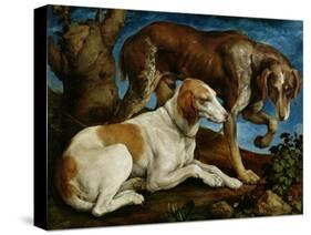 Two Hunting Dogs Tied to a Tree Stump, c.1548-50-Jacopo Bassano-Stretched Canvas