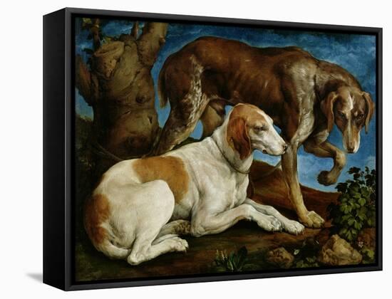 Two Hunting Dogs Tied to a Tree Stump, c.1548-50-Jacopo Bassano-Framed Stretched Canvas