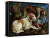 Two Hunting Dogs Tied to a Tree Stump, c.1548-50-Jacopo Bassano-Framed Stretched Canvas