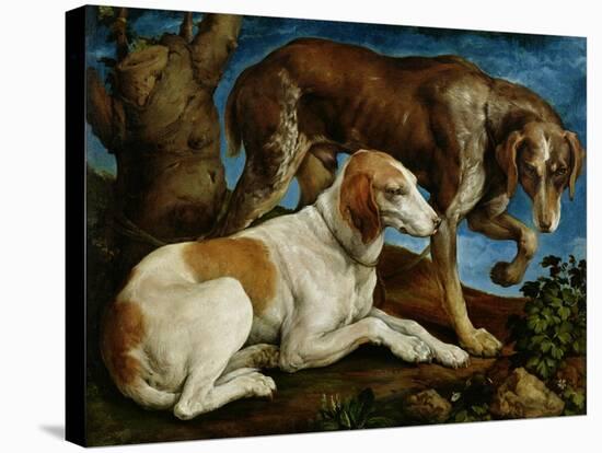 Two Hunting Dogs Tied to a Tree Stump, c.1548-50-Jacopo Bassano-Stretched Canvas