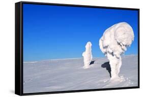 Two Ice-Covered Trees on Top of a Mountain in Arctic Lapland-1photo-Framed Stretched Canvas