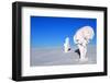 Two Ice-Covered Trees on Top of a Mountain in Arctic Lapland-1photo-Framed Photographic Print