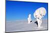 Two Ice-Covered Trees on Top of a Mountain in Arctic Lapland-1photo-Mounted Photographic Print