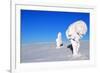 Two Ice-Covered Trees on Top of a Mountain in Arctic Lapland-1photo-Framed Photographic Print