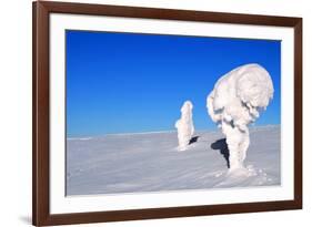 Two Ice-Covered Trees on Top of a Mountain in Arctic Lapland-1photo-Framed Photographic Print