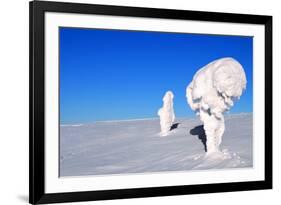 Two Ice-Covered Trees on Top of a Mountain in Arctic Lapland-1photo-Framed Photographic Print