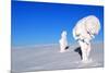 Two Ice-Covered Trees on Top of a Mountain in Arctic Lapland-1photo-Mounted Photographic Print