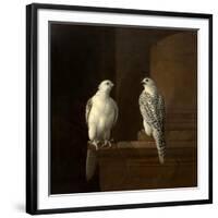 Two Iceland Falcons-Jakob Bogdani Or Bogdany-Framed Giclee Print