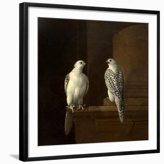 Two Iceland Falcons-Jakob Bogdani Or Bogdany-Framed Giclee Print