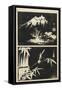 Two Images of Lithograph, Mid 19th Century-Utagawa Hiroshige-Framed Stretched Canvas