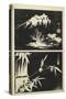 Two Images of Lithograph, Mid 19th Century-Utagawa Hiroshige-Stretched Canvas