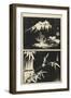 Two Images of Lithograph, Mid 19th Century-Utagawa Hiroshige-Framed Giclee Print