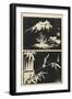 Two Images of Lithograph, Mid 19th Century-Utagawa Hiroshige-Framed Giclee Print