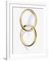 Two interlocked wedding rings-Matthias Kulka-Framed Giclee Print