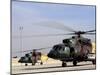 Two Iraqi MI-17 Hip Helicopters Conduct an Aeromedical Evacuation Mission-Stocktrek Images-Mounted Photographic Print