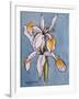 Two Irises, 2001-Joan Thewsey-Framed Giclee Print