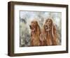 Two Irish Setters-Solveiga-Framed Giclee Print