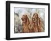 Two Irish Setters-Solveiga-Framed Giclee Print