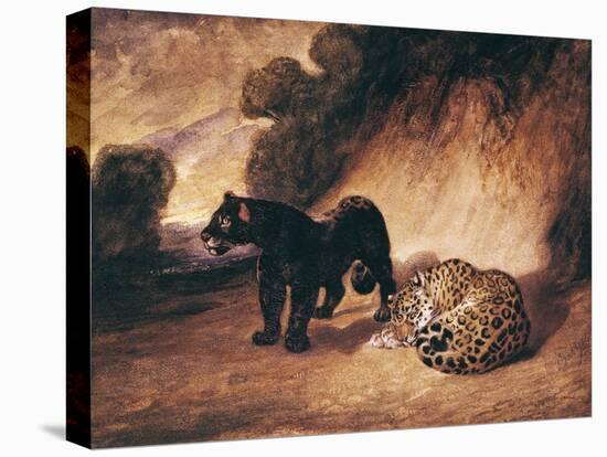 Two Jaguars from Peru-Antoine-Louis Barye-Stretched Canvas