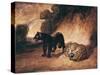 Two Jaguars from Peru-Antoine-Louis Barye-Stretched Canvas