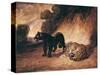 Two Jaguars from Peru-Antoine-Louis Barye-Stretched Canvas