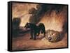 Two Jaguars from Peru-Antoine-Louis Barye-Framed Stretched Canvas