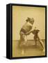 Two Japanese Sumo Wrestlers-null-Framed Stretched Canvas