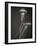 Two Jellyfish-Henry Horenstein-Framed Photographic Print