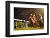 Two Jockeys during Horse Races on His Horses Going towards Finish Line. Traditional European Sport.-Vladimir Hodac-Framed Photographic Print