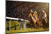 Two Jockeys during Horse Races on His Horses Going towards Finish Line. Traditional European Sport.-Vladimir Hodac-Mounted Photographic Print