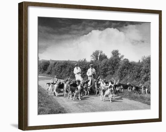 Two Kennel Workers Exercising Foxhounds on an English Country Lane-null-Framed Photographic Print