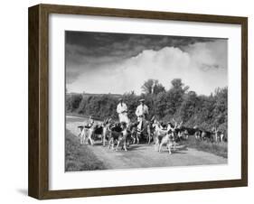 Two Kennel Workers Exercising Foxhounds on an English Country Lane-null-Framed Photographic Print