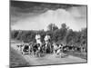Two Kennel Workers Exercising Foxhounds on an English Country Lane-null-Mounted Photographic Print