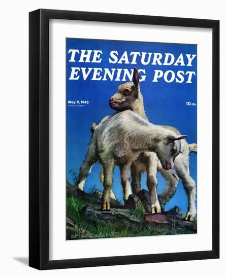 "Two Kid Goats," Saturday Evening Post Cover, May 9, 1942-W.W. Calvert-Framed Giclee Print