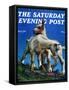 "Two Kid Goats," Saturday Evening Post Cover, May 9, 1942-W.W. Calvert-Framed Stretched Canvas