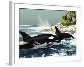 Two Killer Whales Swim Into An Ocean Inlet-Stocktrek Images-Framed Photographic Print