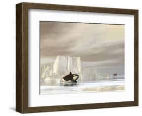 Two Killer Whales Swimming Near Icebergs on a Cloudy Day-null-Framed Art Print